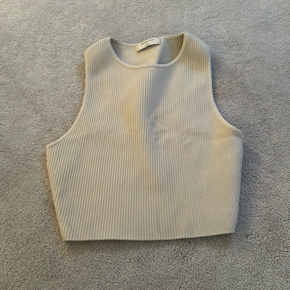 Babaton tank top from Aritzia
